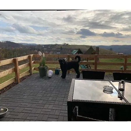 Holiday home With 3 Bedrooms Sankt Andreasberg
